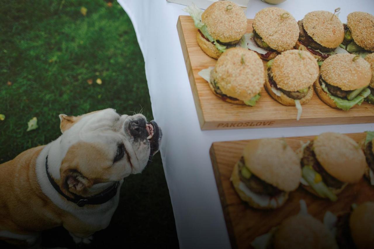 Palac Pakoslaw Pakoslaw  エクステリア 写真
